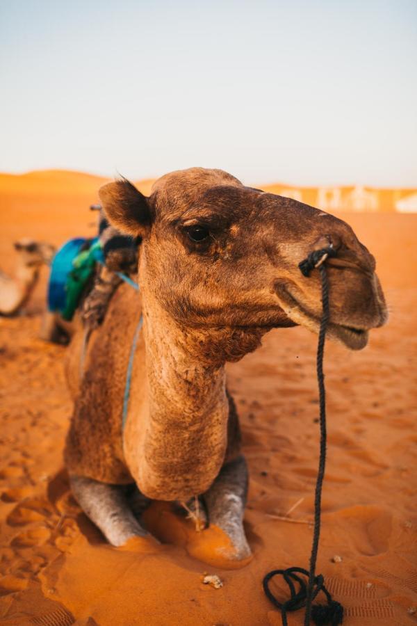 Sanmao Desert Luxury Camp Merzouga Exterior foto